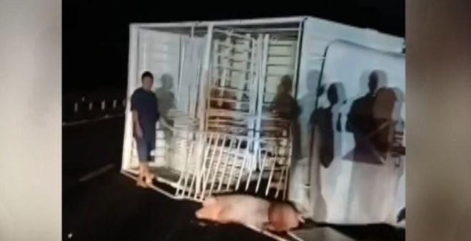惠州40位“二师兄”，“大闹”高速，到底发生了什么？
