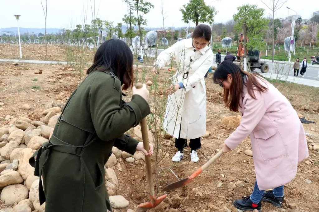 arbor是什么意思