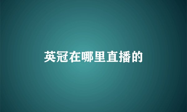 英冠在哪里直播的