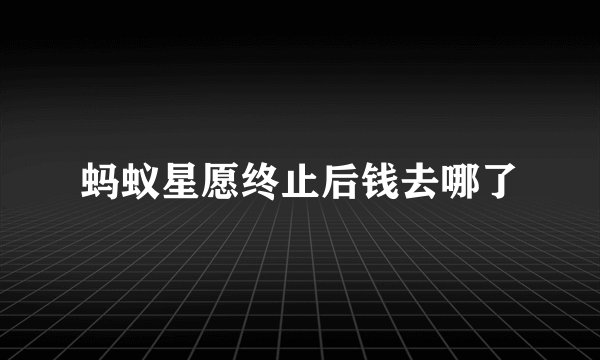 蚂蚁星愿终止后钱去哪了