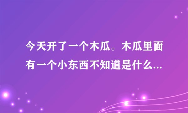 今天开了一个木瓜。木瓜里面有一个小东西不知道是什么，硬的。不知道是什么？这还是第一次见。不知道是什