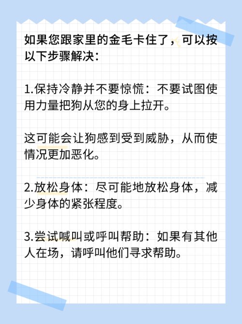 我跟我家金毛卡住了怎么办，我是男的？