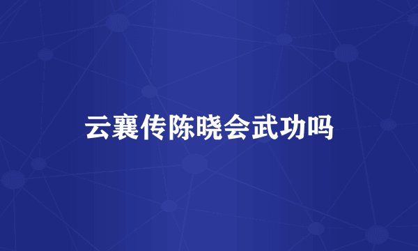 云襄传陈晓会武功吗