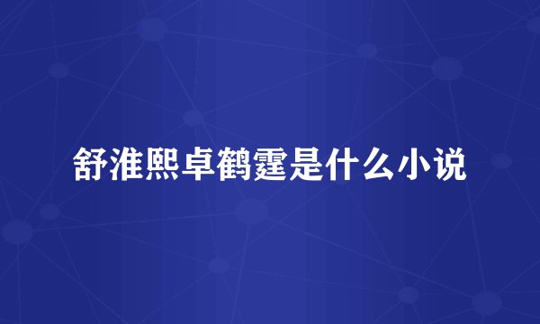 舒淮熙卓鹤霆是什么小说