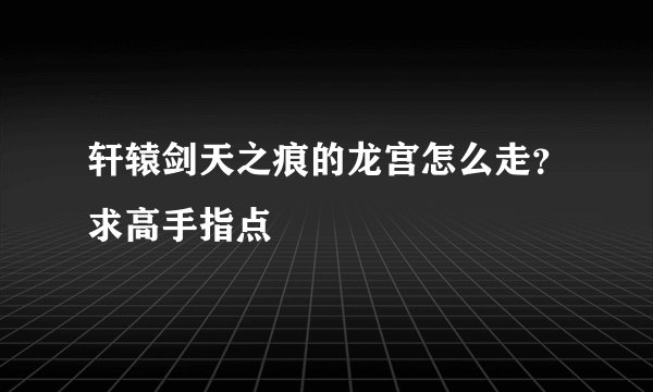 轩辕剑天之痕的龙宫怎么走？求高手指点