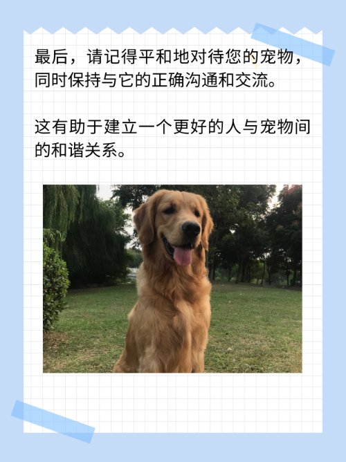 我跟我家金毛卡住了怎么办，我是男的？