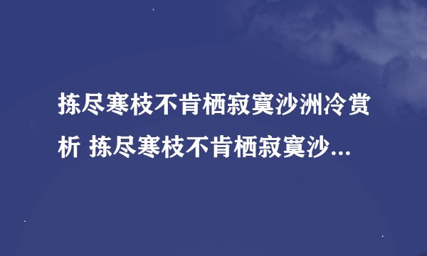 拣尽寒枝不肯栖寂寞沙洲冷赏析 拣尽寒枝不肯栖寂寞沙洲冷的出处