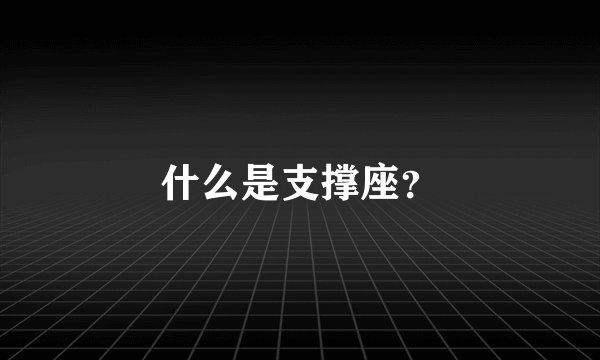 什么是支撑座？