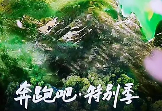 奔跑吧特别季什么时候播