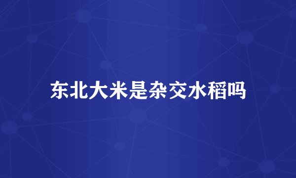 东北大米是杂交水稻吗