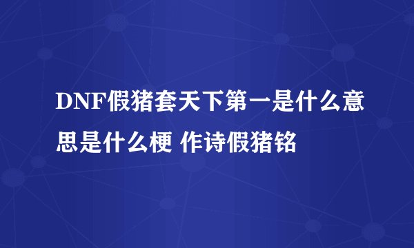 DNF假猪套天下第一是什么意思是什么梗 作诗假猪铭