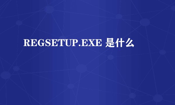 REGSETUP.EXE 是什么