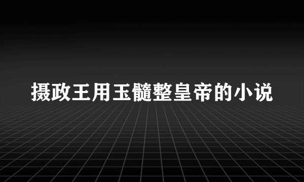 摄政王用玉髓整皇帝的小说