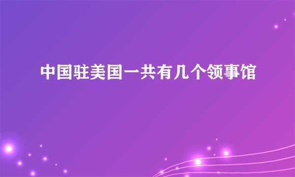 中国驻美国一共有几个领事馆