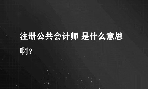 注册公共会计师 是什么意思啊？