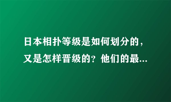日本相扑等级是如何划分的,又是怎样晋级的?他们的最终归属在哪