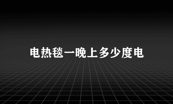 电热毯一晚上多少度电