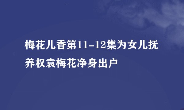 梅花儿香第11-12集为女儿抚养权袁梅花净身出户