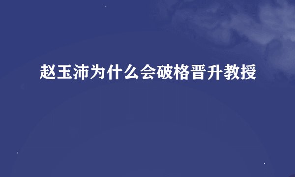 赵玉沛为什么会破格晋升教授