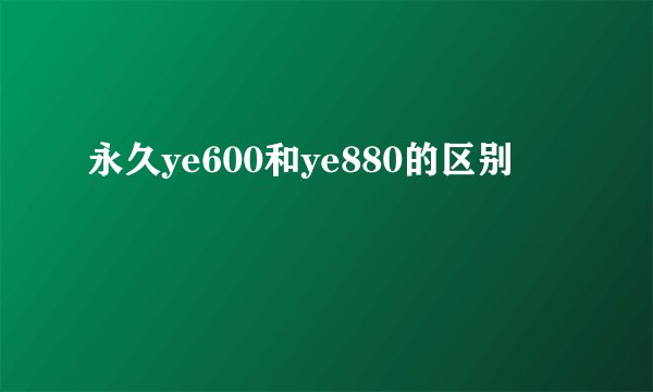 永久ye600和ye880的区别