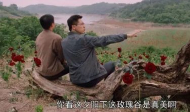 《花开山乡》拍摄地在哪？
