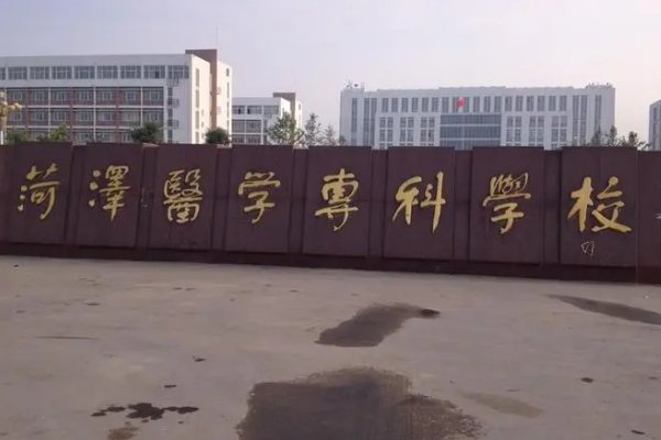 山东专科录取分数线排名