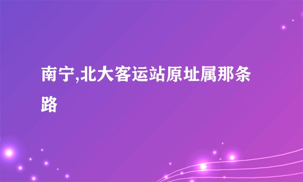 南宁,北大客运站原址属那条路
