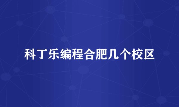 科丁乐编程合肥几个校区