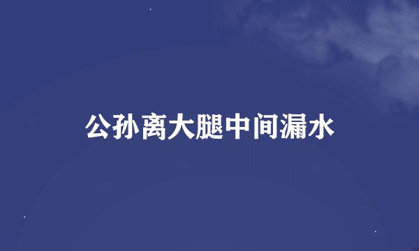 公孙离大腿中间漏水