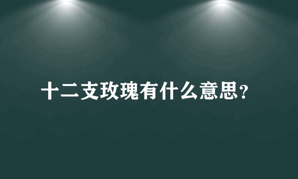 十二支玫瑰有什么意思？