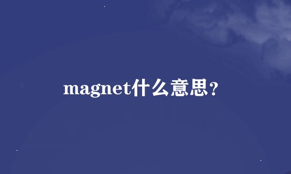 magnet什么意思？