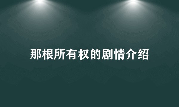 那根所有权的剧情介绍