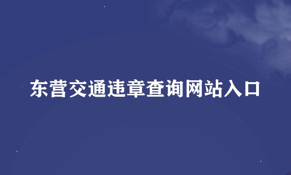 东营交通违章查询网站入口