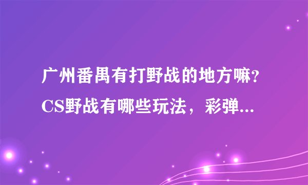 广州番禺有打野战的地方嘛？CS野战有哪些玩法，彩弹最好玩吗？