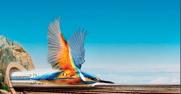 人类模仿自然界中的生物发明了哪些东西？蛇、龙虾、蟑螂、蜘蛛、青蛙、蚂蚁、鸡蛋