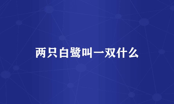 两只白鹭叫一双什么
