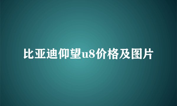 比亚迪仰望u8价格及图片