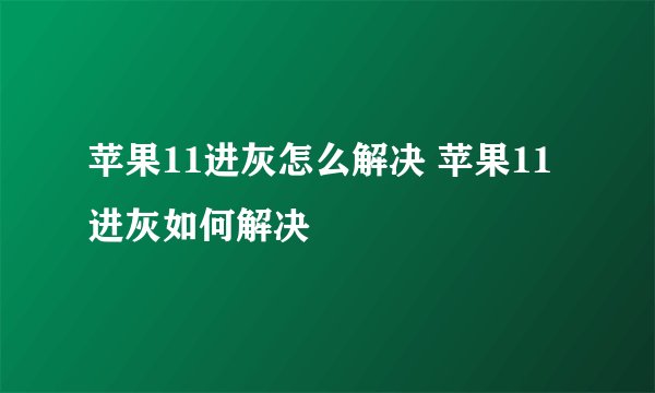 苹果11进灰怎么解决 苹果11进灰如何解决