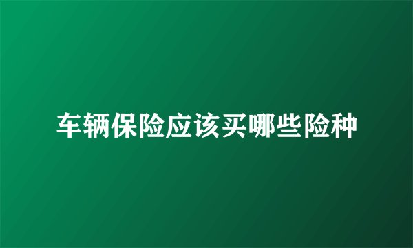 车辆保险应该买哪些险种