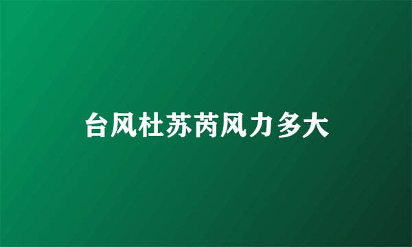 台风杜苏芮风力多大