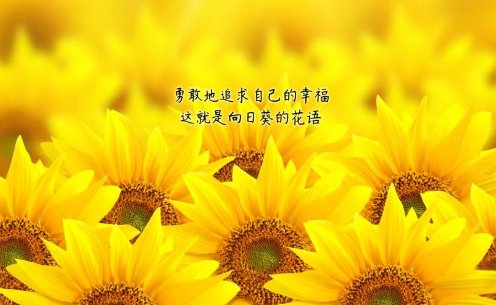 你对幸福的理解是什么?
