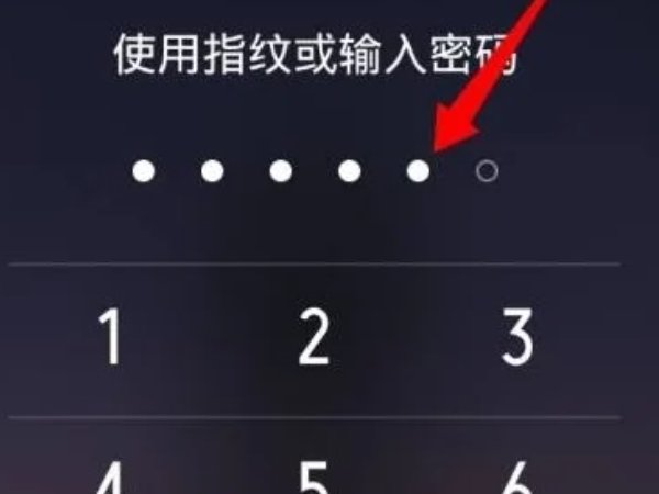 支付宝红包码在哪里找