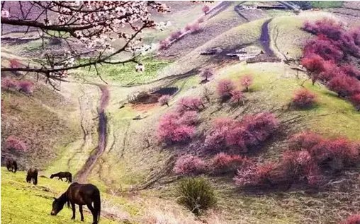 白马西风塞上杏花烟雨江南的全文是什么？