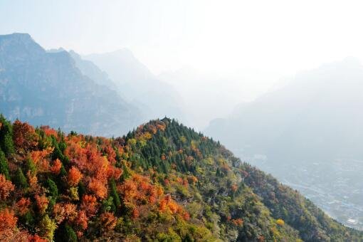 北京延庆区发生1.5级地震,当地有震感吗?