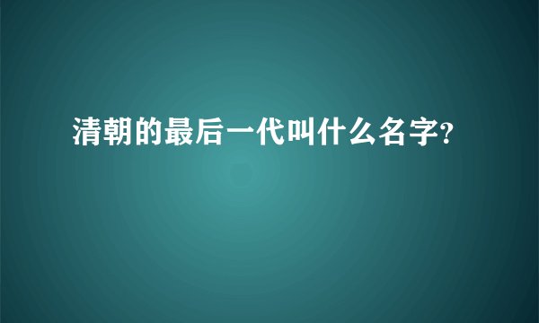 清朝的最后一代叫什么名字？