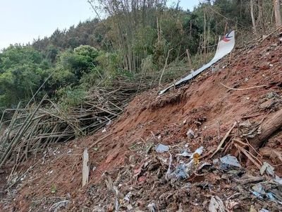 东航撞击点附近经反复探测，确定已无生命迹象，现场搜寻到了哪些关键证物？