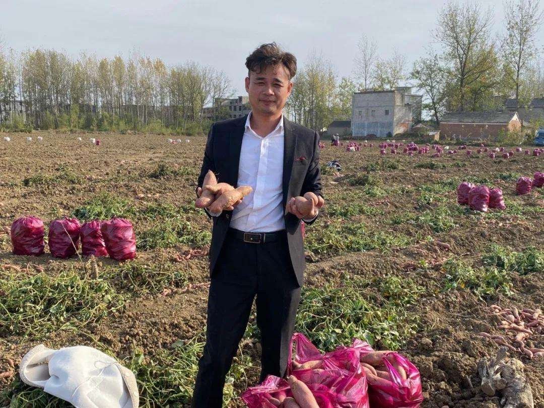 男子弃百万年薪种红薯3年挣350万，给年轻人创业带啦了哪些思路？