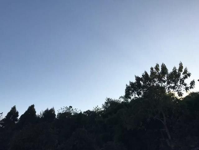 他强任他强清风拂山岗，他横由他横明月照大江的原文