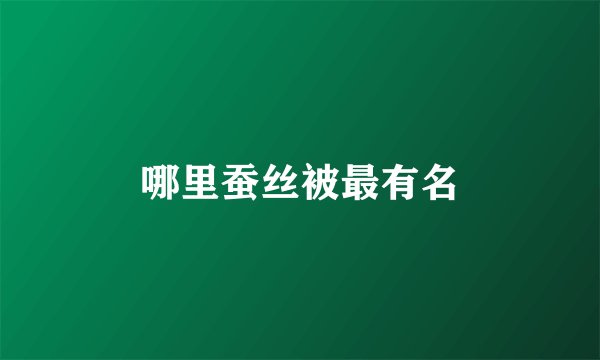 哪里蚕丝被最有名