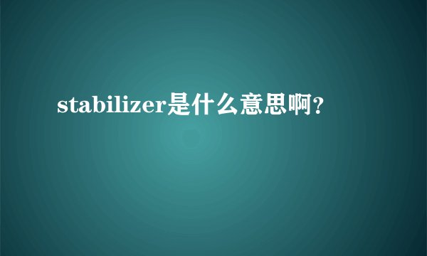 stabilizer是什么意思啊？